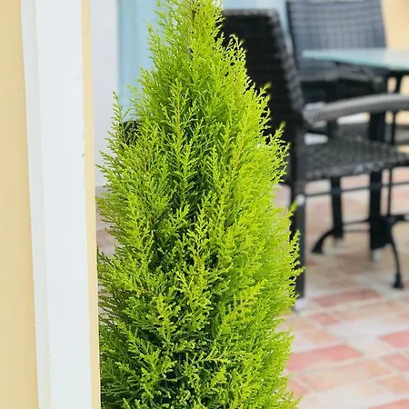 L'eremo Luxury Ρόδα