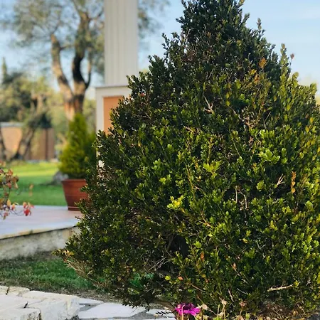 L'eremo Luxury Apartmán Roda (Corfu)