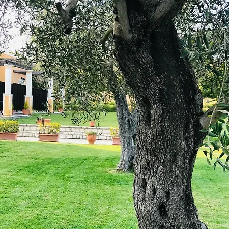 Apartamento L'eremo Luxury Rodas