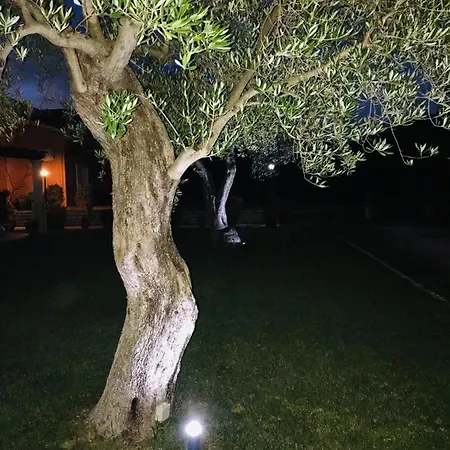 Apartamento L'eremo Luxury